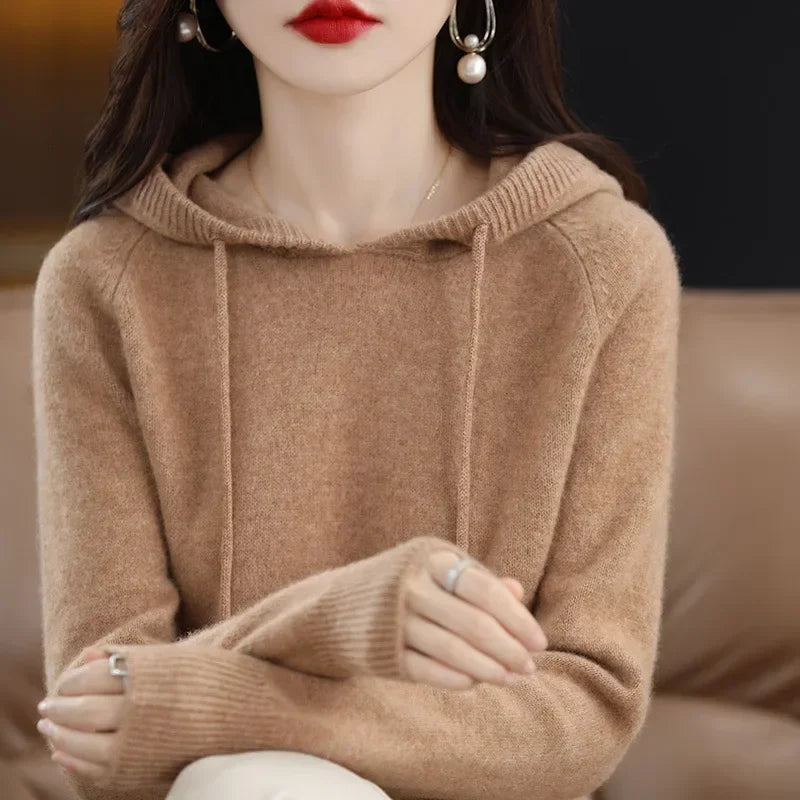 Cashmere Knit Hooded Sweater