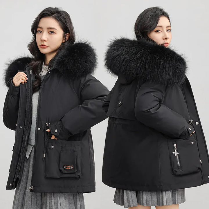 Cropped Wool Blend Collarless Jacket