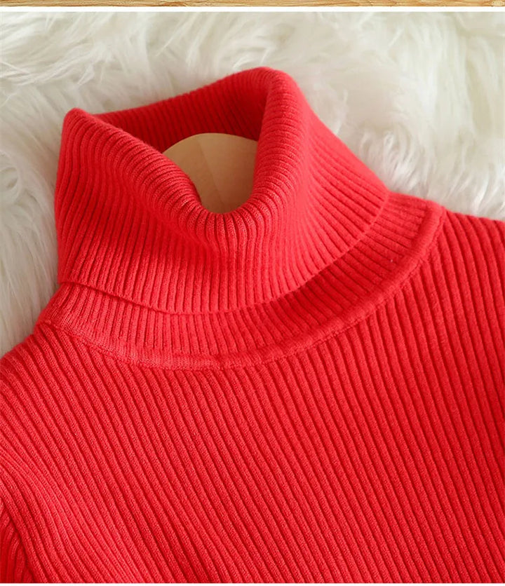 Ribbed Wool Cashmere Turtleneck Sweater